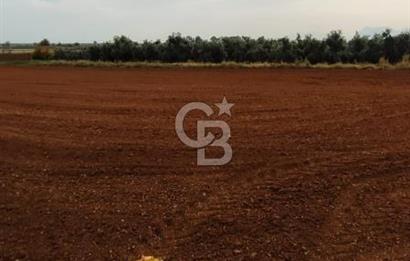 DÖŞEMEALTI KARATAŞ'TA YERLEŞİME YAKIN MÜKEMMEL!!! KONUMDA TARLA