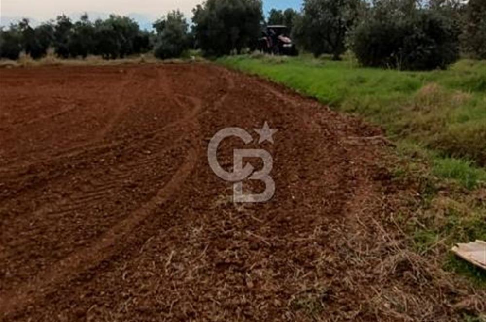DÖŞEMEALTI KARATAŞ'TA YERLEŞİME YAKIN MÜKEMMEL!!! KONUMDA TARLA