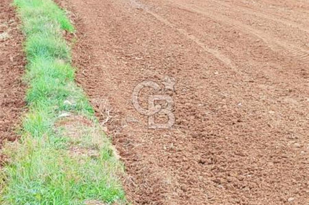 DÖŞEMEALTI KARATAŞ'TA YERLEŞİME YAKIN MÜKEMMEL!!! KONUMDA TARLA