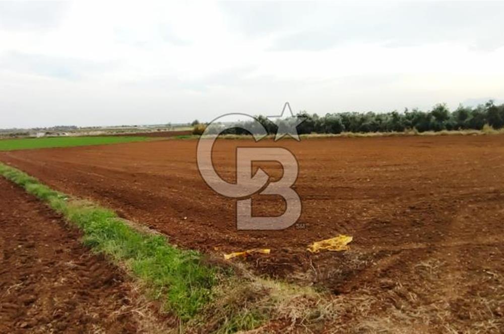 DÖŞEMEALTI KARATAŞ'TA YERLEŞİME YAKIN MÜKEMMEL!!! KONUMDA TARLA