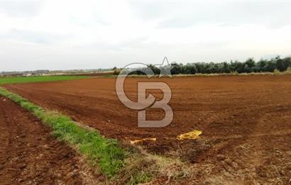 DÖŞEMEALTI KARATAŞ'TA YERLEŞİME YAKIN MÜKEMMEL!!! KONUMDA TARLA