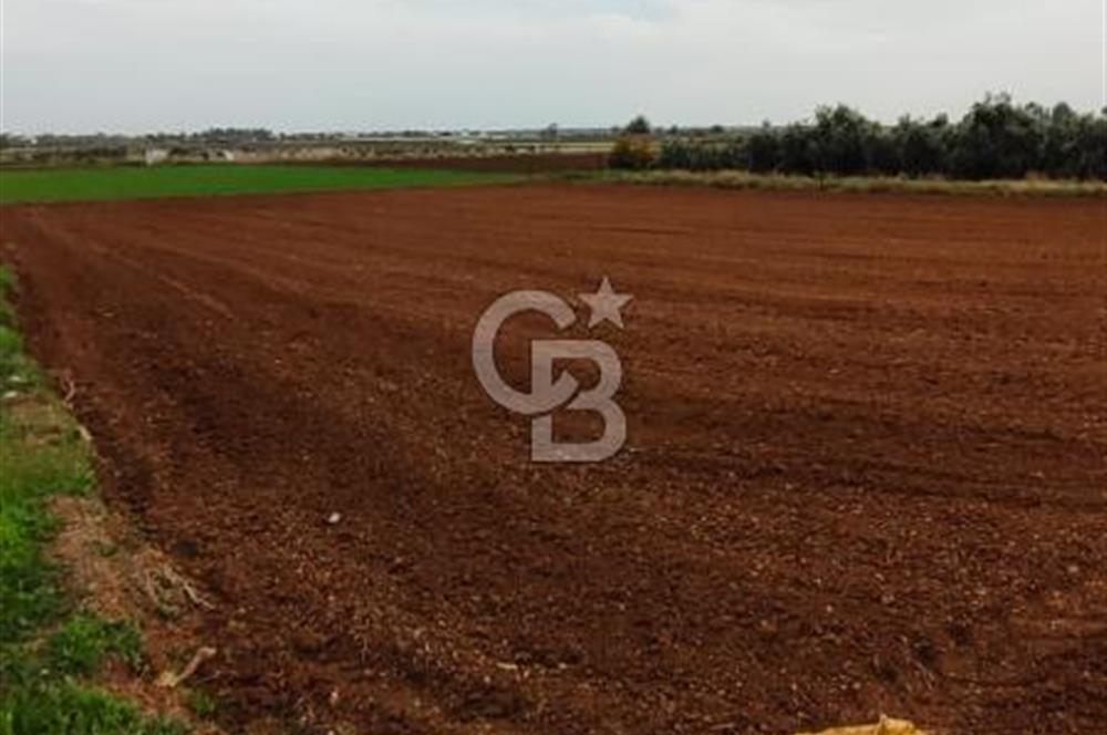 DÖŞEMEALTI KARATAŞ'TA YERLEŞİME YAKIN MÜKEMMEL!!! KONUMDA TARLA