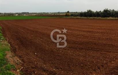 DÖŞEMEALTI KARATAŞ'TA YERLEŞİME YAKIN MÜKEMMEL!!! KONUMDA TARLA