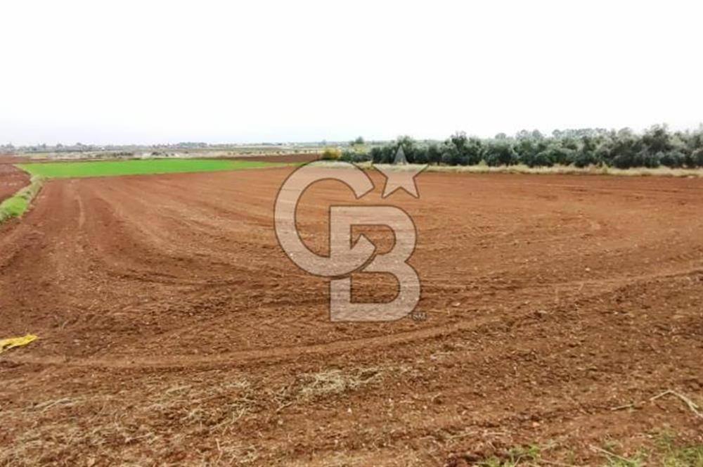 DÖŞEMEALTI KARATAŞ'TA YERLEŞİME YAKIN MÜKEMMEL!!! KONUMDA TARLA