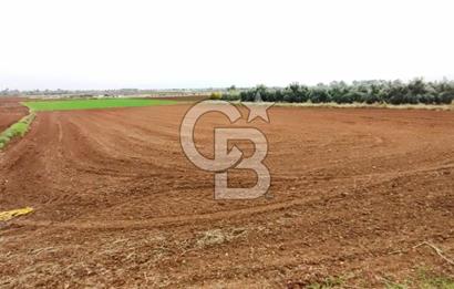 DÖŞEMEALTI KARATAŞ'TA YERLEŞİME YAKIN MÜKEMMEL!!! KONUMDA TARLA