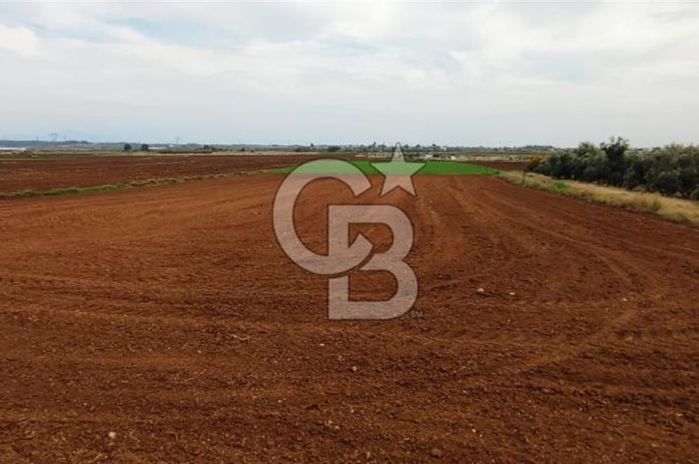 DÖŞEMEALTI KARATAŞ'TA YERLEŞİME YAKIN MÜKEMMEL!!! KONUMDA TARLA