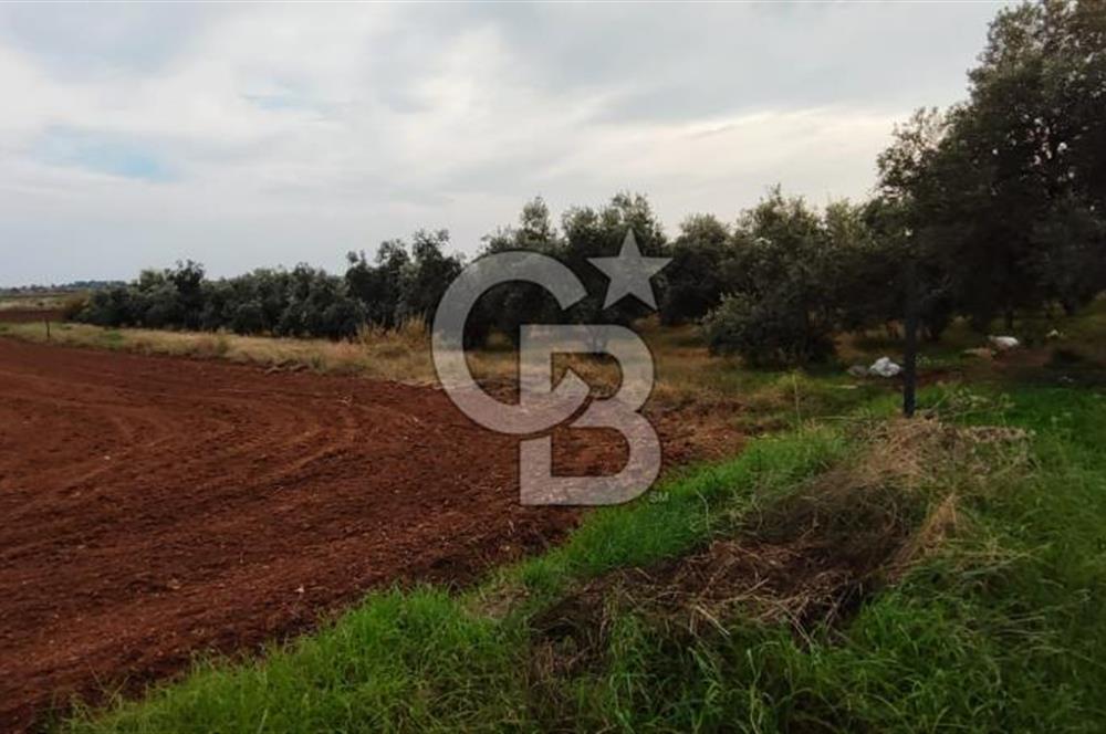 DÖŞEMEALTI KARATAŞ'TA YERLEŞİME YAKIN MÜKEMMEL!!! KONUMDA TARLA