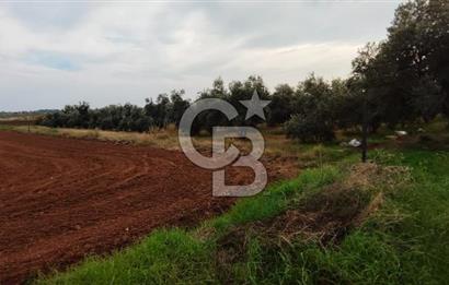 DÖŞEMEALTI KARATAŞ'TA YERLEŞİME YAKIN MÜKEMMEL!!! KONUMDA TARLA