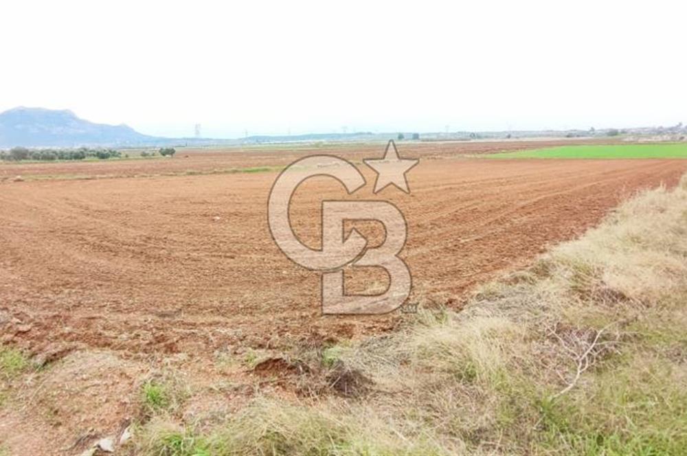 DÖŞEMEALTI KARATAŞ'TA YERLEŞİME YAKIN MÜKEMMEL!!! KONUMDA TARLA