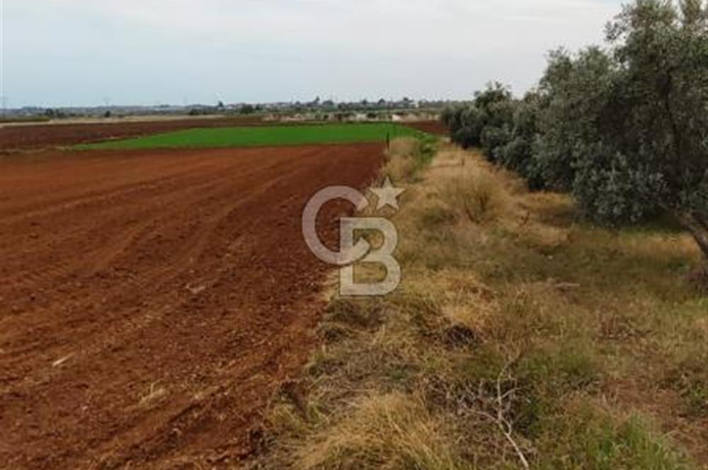 DÖŞEMEALTI KARATAŞ'TA YERLEŞİME YAKIN MÜKEMMEL!!! KONUMDA TARLA