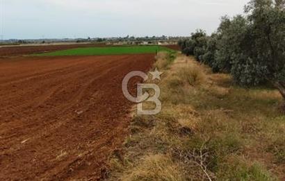 DÖŞEMEALTI KARATAŞ'TA YERLEŞİME YAKIN MÜKEMMEL!!! KONUMDA TARLA