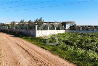 DÖŞEMEALTI SELİMİYE'DE HARİKA KONUMDA TEK TAPU FIRSAT TARLA !!! - 2 - 320564