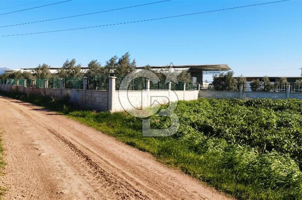 DÖŞEMEALTI SELİMİYE'DE HARİKA KONUMDA TEK TAPU FIRSAT TARLA !!!