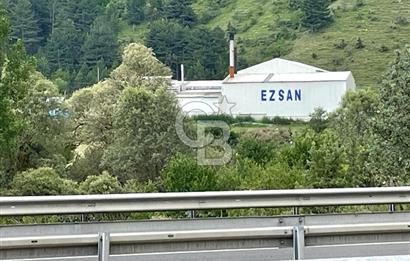 ANAHTAR TESLİM FAAL RENDERING HAYVANSAL YAĞ ÜRETİM TESİSİ | YÜKSEK KAPASİTELİ VE KARLI SANAYİ YATIRIMI