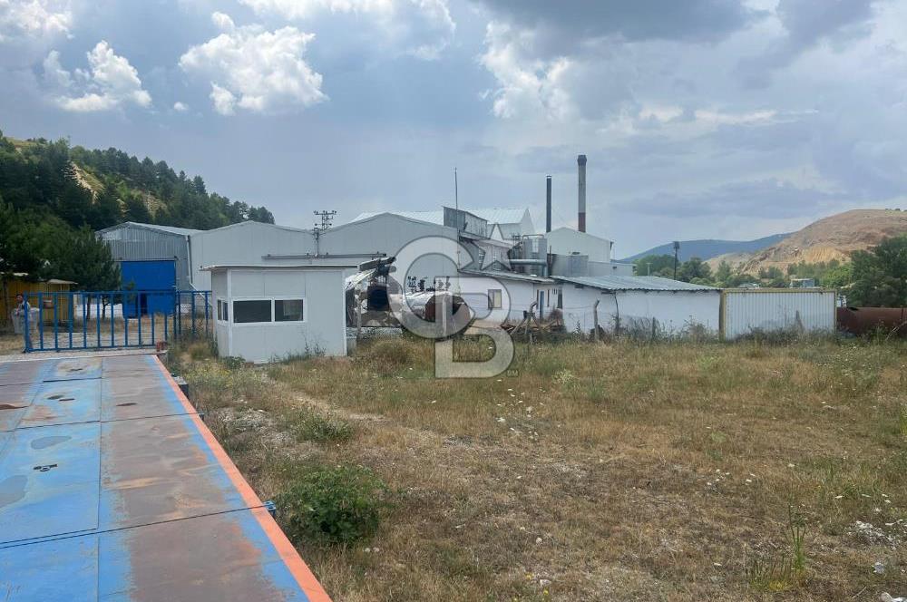 ANAHTAR TESLİM FAAL RENDERING HAYVANSAL YAĞ ÜRETİM TESİSİ | YÜKSEK KAPASİTELİ VE KARLI SANAYİ YATIRIMI