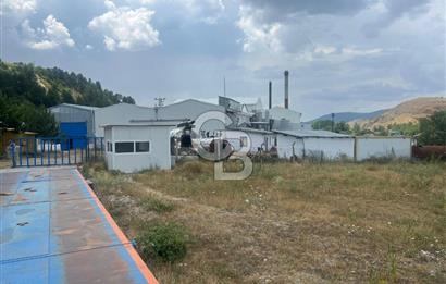 ANAHTAR TESLİM FAAL RENDERING HAYVANSAL YAĞ ÜRETİM TESİSİ | YÜKSEK KAPASİTELİ VE KARLI SANAYİ YATIRIMI