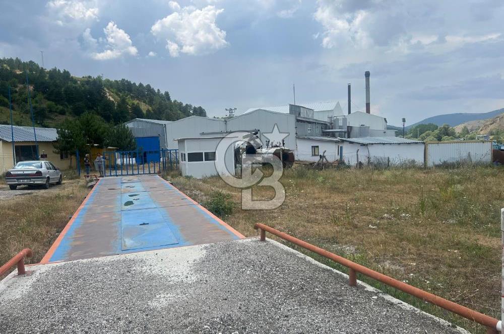ANAHTAR TESLİM FAAL RENDERING HAYVANSAL YAĞ ÜRETİM TESİSİ | YÜKSEK KAPASİTELİ VE KARLI SANAYİ YATIRIMI