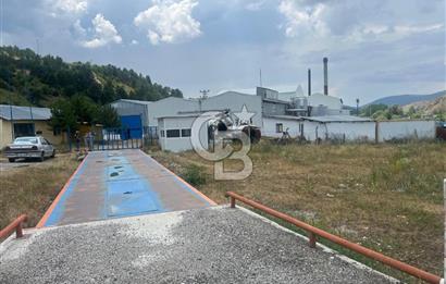 ANAHTAR TESLİM FAAL RENDERING HAYVANSAL YAĞ ÜRETİM TESİSİ | YÜKSEK KAPASİTELİ VE KARLI SANAYİ YATIRIMI