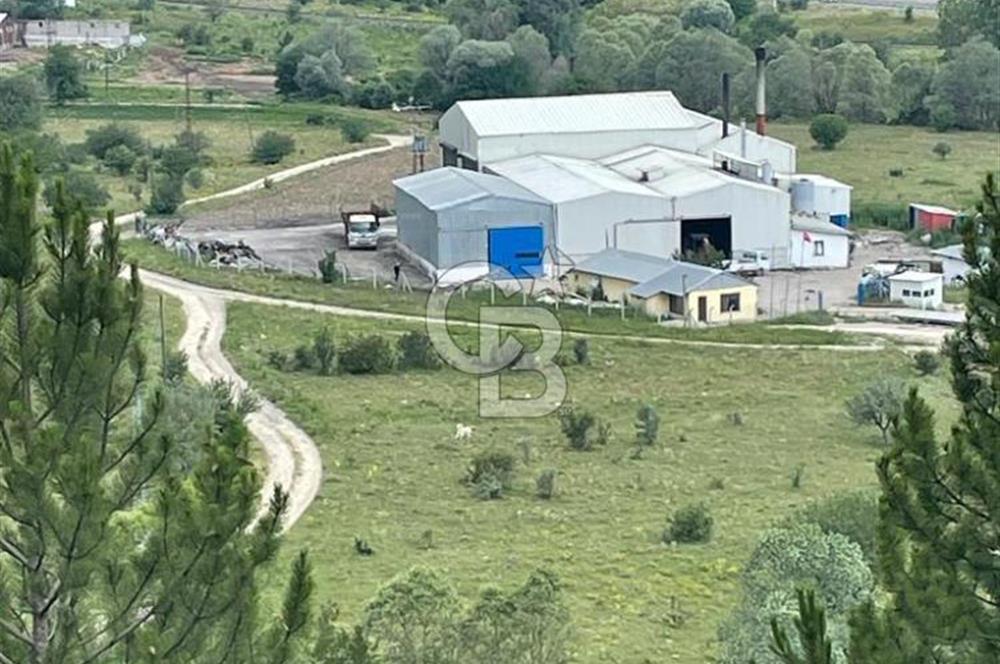 ANAHTAR TESLİM FAAL RENDERING HAYVANSAL YAĞ ÜRETİM TESİSİ | YÜKSEK KAPASİTELİ VE KARLI SANAYİ YATIRIMI