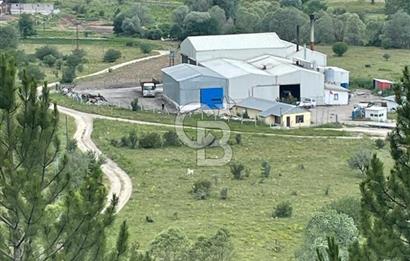ANAHTAR TESLİM FAAL RENDERING HAYVANSAL YAĞ ÜRETİM TESİSİ | YÜKSEK KAPASİTELİ VE KARLI SANAYİ YATIRIMI