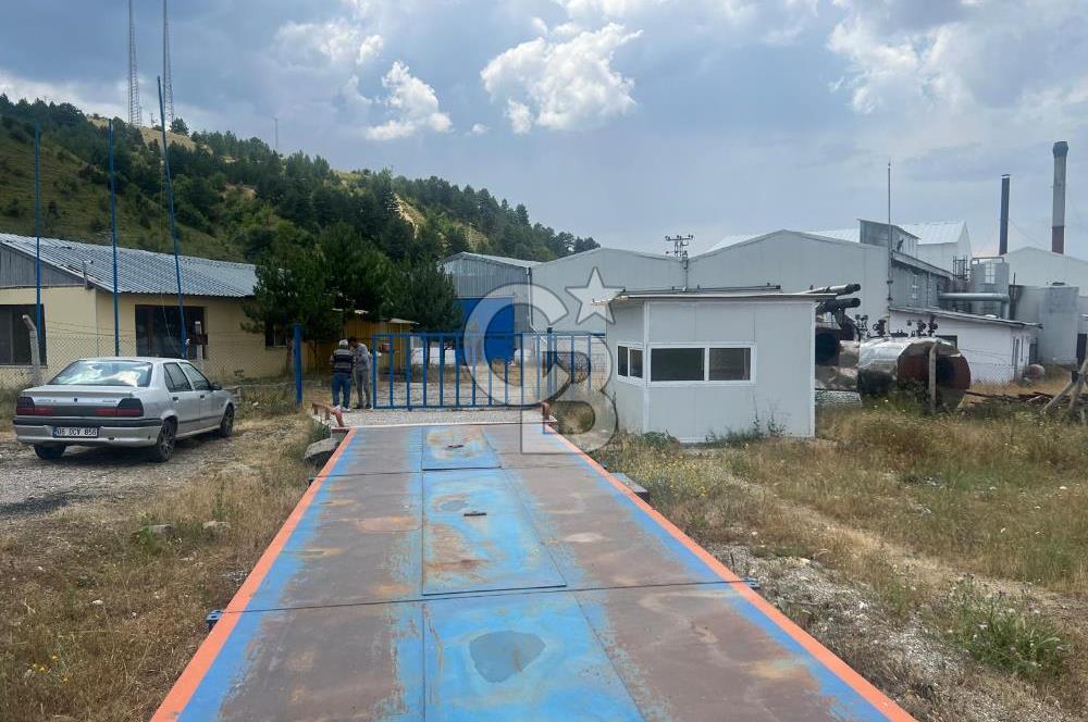 ANAHTAR TESLİM FAAL RENDERING HAYVANSAL YAĞ ÜRETİM TESİSİ | YÜKSEK KAPASİTELİ VE KARLI SANAYİ YATIRIMI