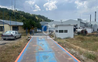 ANAHTAR TESLİM FAAL RENDERING HAYVANSAL YAĞ ÜRETİM TESİSİ | YÜKSEK KAPASİTELİ VE KARLI SANAYİ YATIRIMI