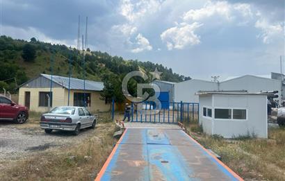 ANAHTAR TESLİM FAAL RENDERING HAYVANSAL YAĞ ÜRETİM TESİSİ | YÜKSEK KAPASİTELİ VE KARLI SANAYİ YATIRIMI
