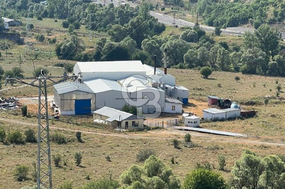 ANAHTAR TESLİM FAAL RENDERING HAYVANSAL YAĞ ÜRETİM TESİSİ | YÜKSEK KAPASİTELİ VE KARLI SANAYİ YATIRIMI