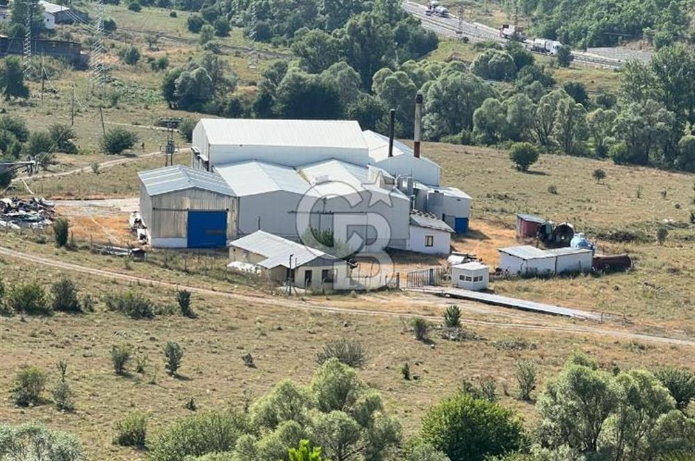 ANAHTAR TESLİM FAAL RENDERING HAYVANSAL YAĞ ÜRETİM TESİSİ | YÜKSEK KAPASİTELİ VE KARLI SANAYİ YATIRIMI