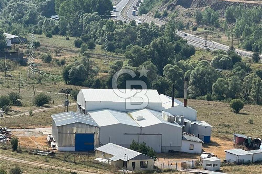 ANAHTAR TESLİM FAAL RENDERING HAYVANSAL YAĞ ÜRETİM TESİSİ | YÜKSEK KAPASİTELİ VE KARLI SANAYİ YATIRIMI