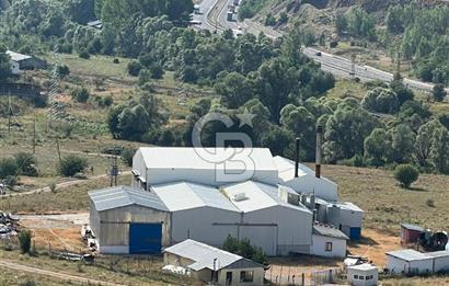 ANAHTAR TESLİM FAAL RENDERING HAYVANSAL YAĞ ÜRETİM TESİSİ | YÜKSEK KAPASİTELİ VE KARLI SANAYİ YATIRIMI