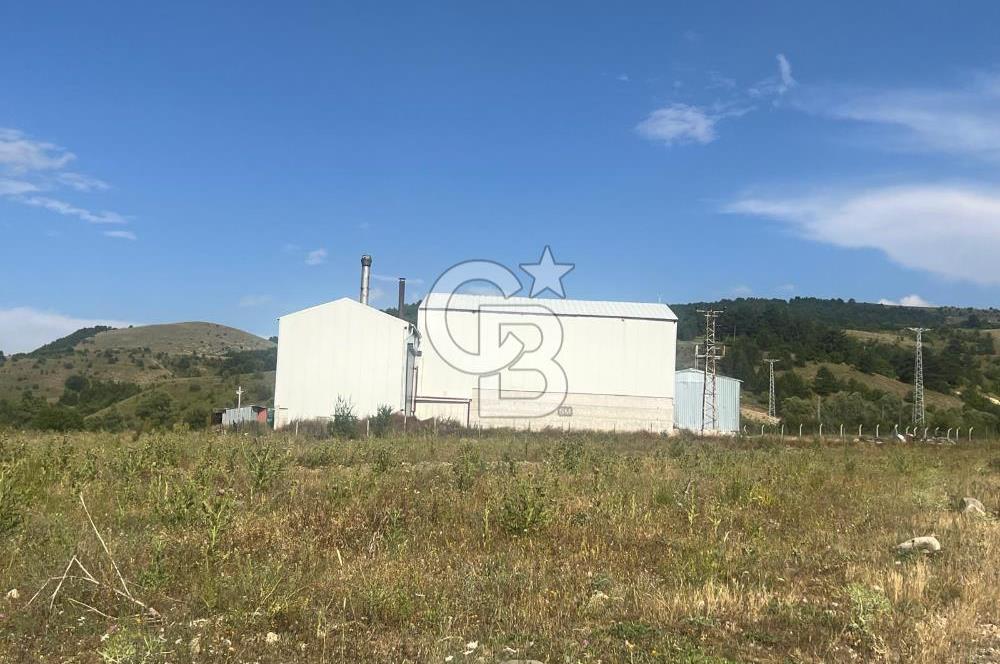 ANAHTAR TESLİM FAAL RENDERING HAYVANSAL YAĞ ÜRETİM TESİSİ | YÜKSEK KAPASİTELİ VE KARLI SANAYİ YATIRIMI