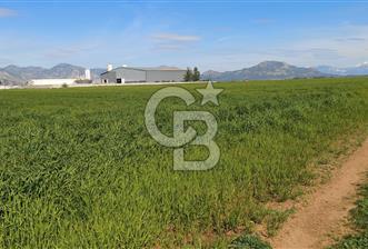 DÖŞEMEALTI SELİMİYE TEK TAPU YATIRIMLIK TARLA !!! - 1 - 351540