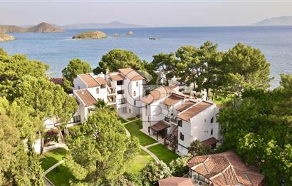 Aktur Kurucabük'te Satılık Denize Sıfır Menekşe