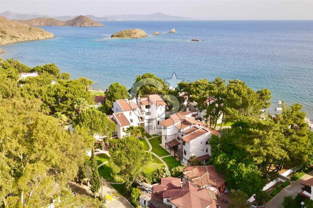 Aktur Kurucabük'te Satılık Denize Sıfır Menekşe