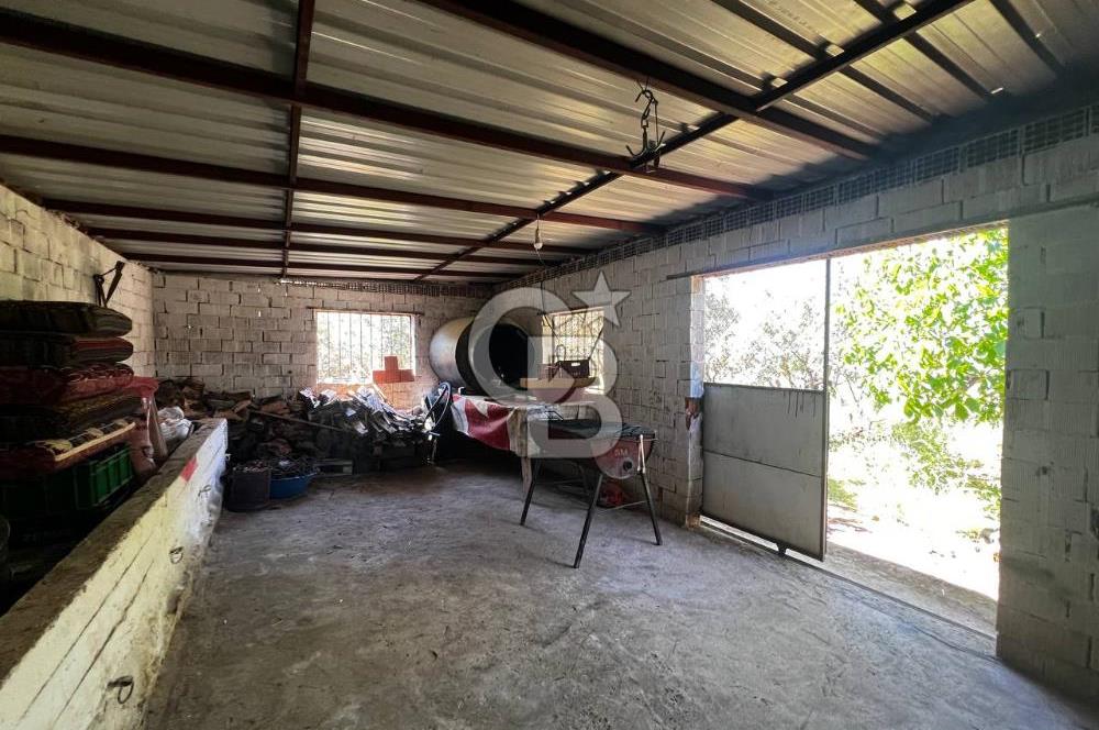 kemalpaşa müstakil tapu 837 m2 hayvan damı da bulunan bahçeli villa 