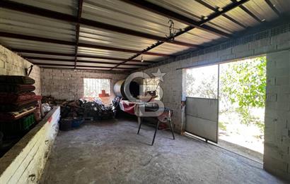 kemalpaşa müstakil tapu 837 m2 hayvan damı da bulunan bahçeli villa 