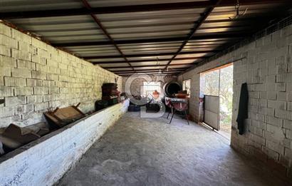 kemalpaşa müstakil tapu 837 m2 hayvan damı da bulunan bahçeli villa 