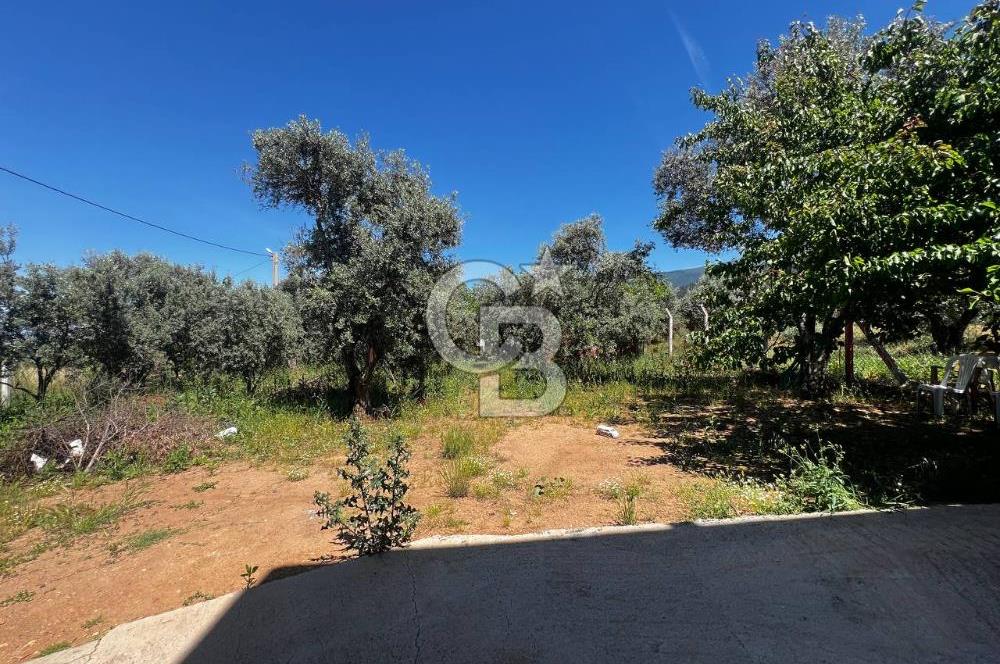 kemalpaşa müstakil tapu 837 m2 hayvan damı da bulunan bahçeli villa 