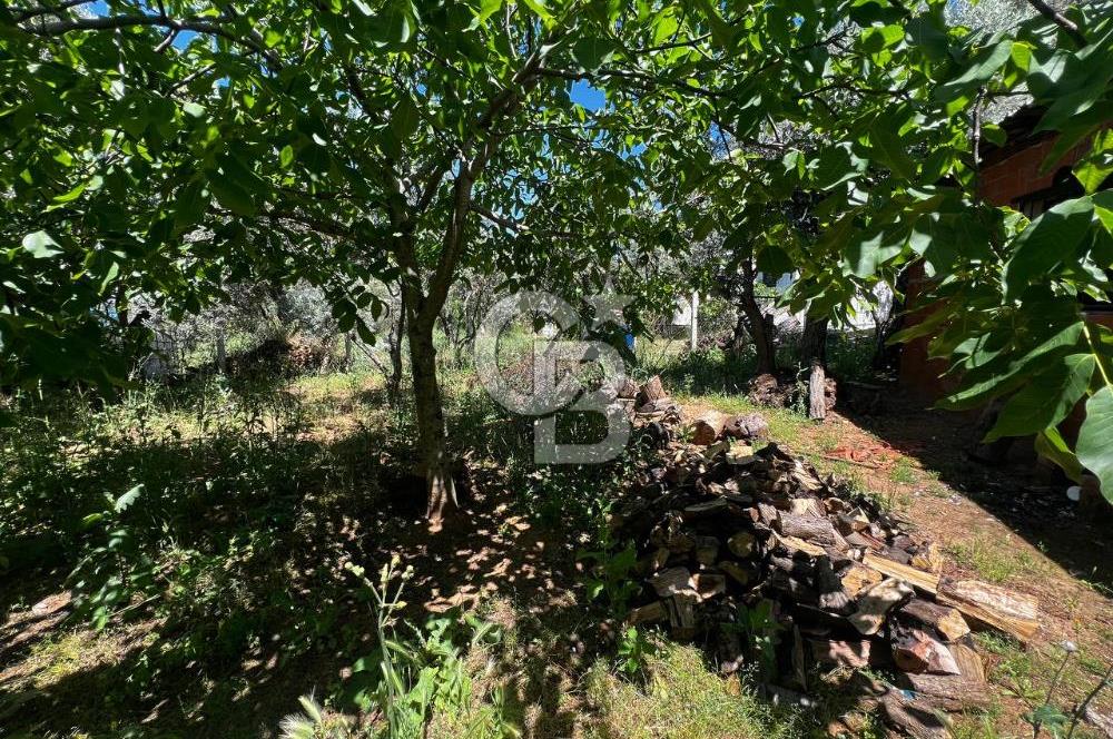 kemalpaşa müstakil tapu 837 m2 hayvan damı da bulunan bahçeli villa 