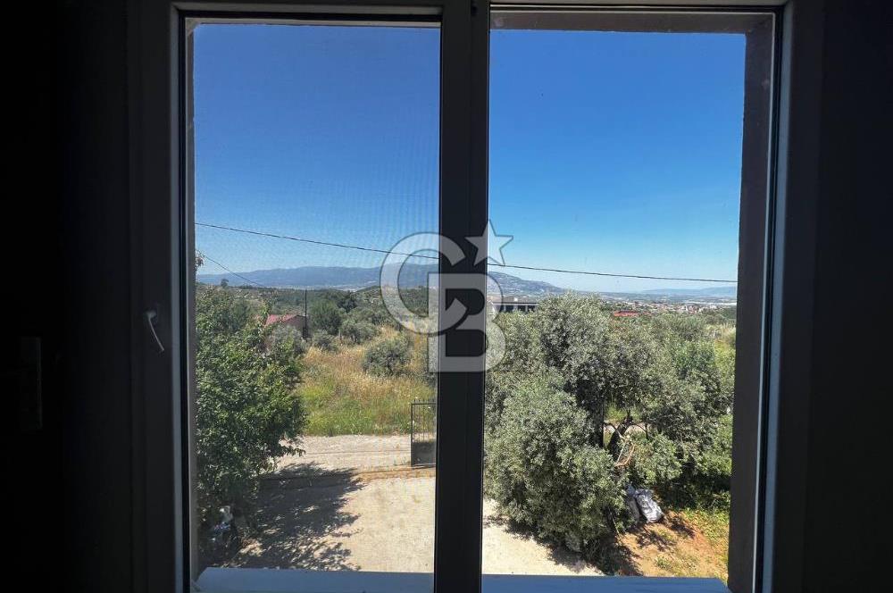 kemalpaşa müstakil tapu 837 m2 hayvan damı da bulunan bahçeli villa 