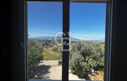 kemalpaşa müstakil tapu 837 m2 hayvan damı da bulunan bahçeli villa 