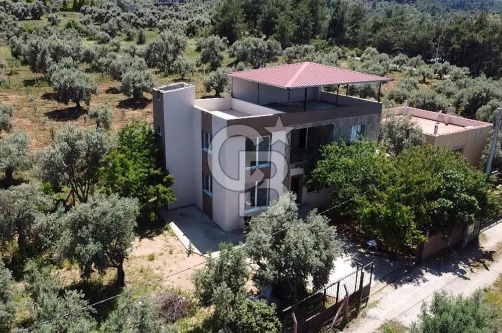 kemalpaşa müstakil tapu 837 m2 hayvan damı da bulunan bahçeli villa 