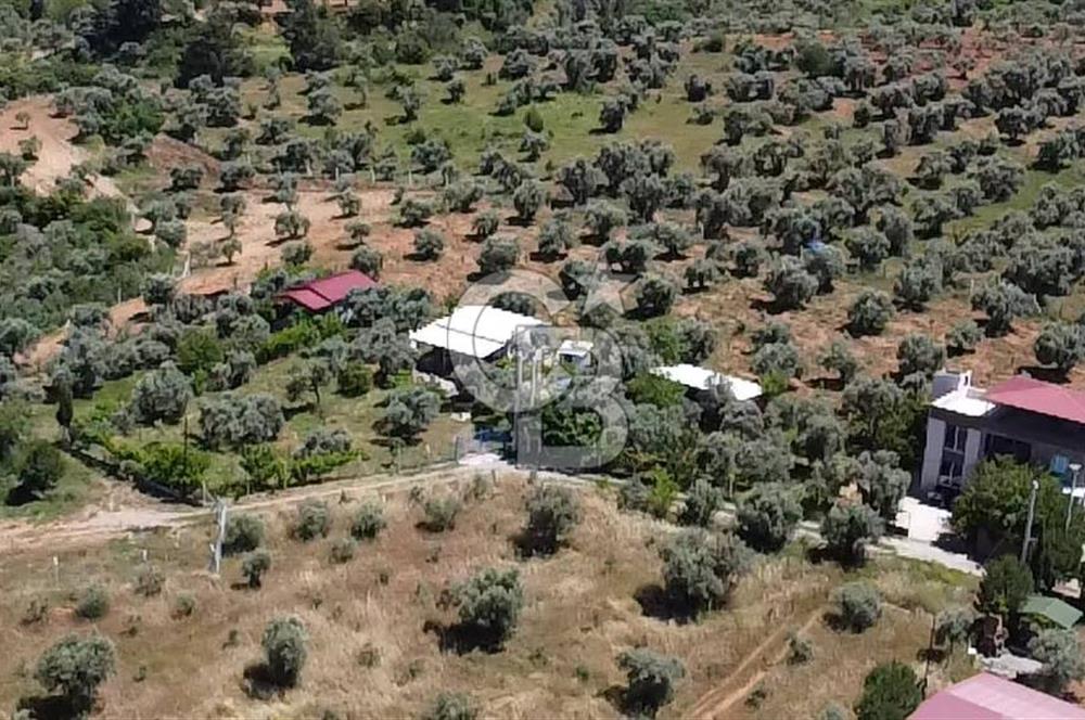 kemalpaşa müstakil tapu 837 m2 hayvan damı da bulunan bahçeli villa 