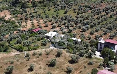 kemalpaşa müstakil tapu 837 m2 hayvan damı da bulunan bahçeli villa 