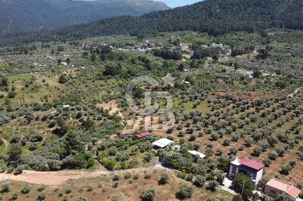 kemalpaşa müstakil tapu 837 m2 hayvan damı da bulunan bahçeli villa 