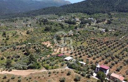 kemalpaşa müstakil tapu 837 m2 hayvan damı da bulunan bahçeli villa 