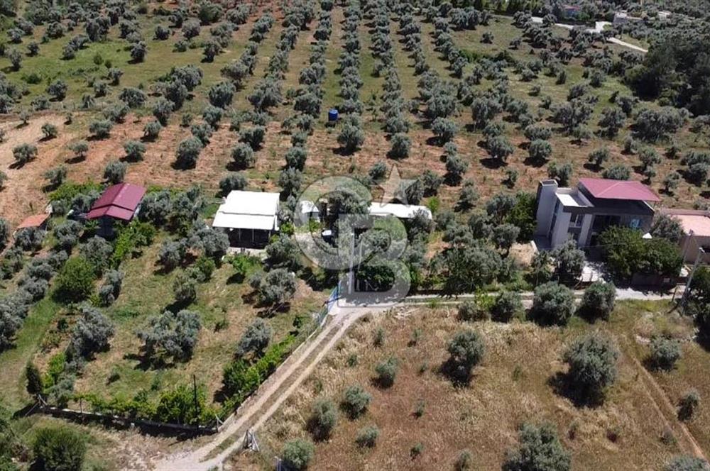 kemalpaşa müstakil tapu 837 m2 hayvan damı da bulunan bahçeli villa 
