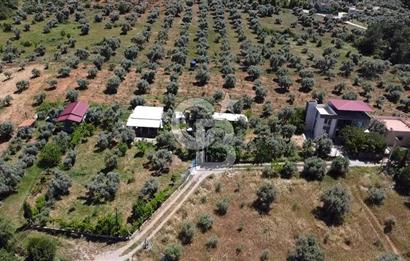 kemalpaşa müstakil tapu 837 m2 hayvan damı da bulunan bahçeli villa 