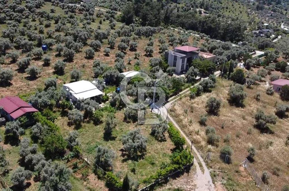 kemalpaşa müstakil tapu 837 m2 hayvan damı da bulunan bahçeli villa 